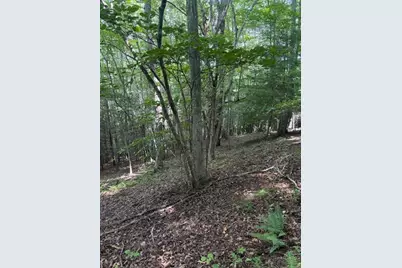 Tbd Starlite Drive, Crumpler, NC 28617 - Photo 3