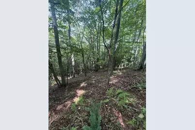 Tbd Starlite Drive, Crumpler, NC 28617 - Photo 5