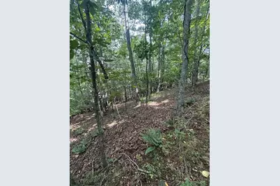 Tbd Starlite Drive, Crumpler, NC 28617 - Photo 13