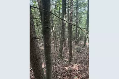 Tbd Starlite Drive, Crumpler, NC 28617 - Photo 7