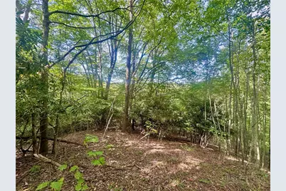 Tbd Old Anderson Quarry Road, Vilas, NC 28692 - Photo 13