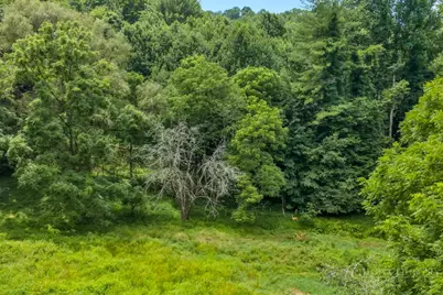 Tbd Bethel Road, Sugar Grove, NC 28679 - Photo 13