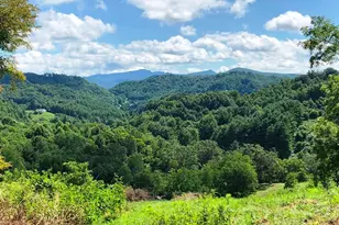 866 Georges Gap Rd, Vilas, NC 28692 - Photo 1
