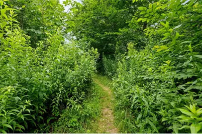 Lot 96 Cloud Spring Drive, Sugar Mountain, NC 28604 - Photo 5
