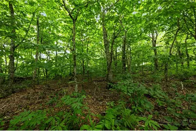 Lot 96 Cloud Spring Drive, Sugar Mountain, NC 28604 - Photo 7