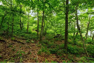 Lot 96 Cloud Spring Drive, Sugar Mountain, NC 28604 - Photo 11