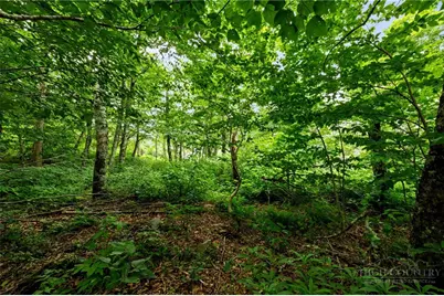 Lot 96 Cloud Spring Drive, Sugar Mountain, NC 28604 - Photo 9