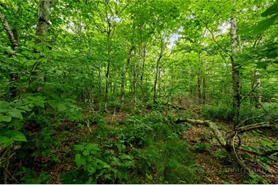 Lot 96 Cloud Spring Drive, Sugar Mountain, NC 28604 - Photo 7