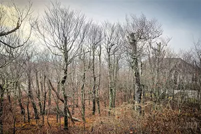 Lot 96 Cloud Spring Drive, Sugar Mountain, NC 28604 - Photo 19