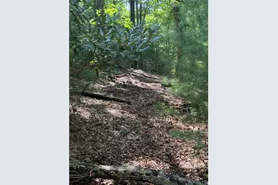 Lot 1 Skye Ridge Drive, West Jefferson, NC 28694 - Photo 5