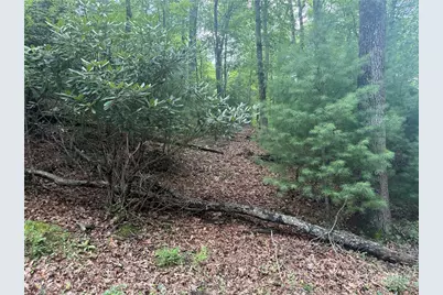 Lot 1 Skye Ridge Drive, West Jefferson, NC 28694 - Photo 1