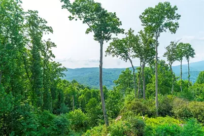 119 Falcon Trace #C132, Boone, NC 28607 - Photo 17
