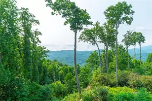 119 Falcon Trace, Boone, NC 28607 - Photo 17