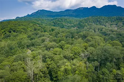 Lot 24 Linville River Drive, Linville, NC 28646 - Photo 9