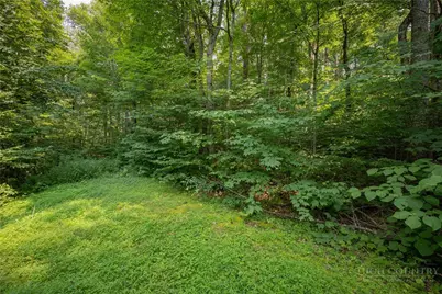 Lot 24 Linville River Drive, Linville, NC 28646 - Photo 15