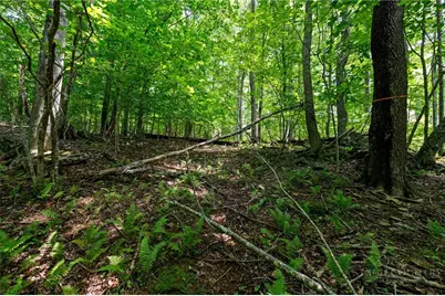 Lot 342 & 343 Twin Rivers Drive, Boone, NC 28607 - Photo 11