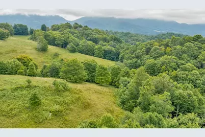 Tbd Vaughn Potter Road, Zionville, NC 28698 - Photo 5