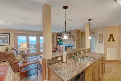 482 Indian Paintbrush Drive #RL-1, Banner Elk, NC 28604 - Photo 3