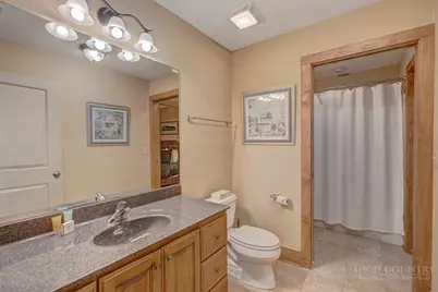 482 Indian Paintbrush Drive #RL-1, Banner Elk, NC 28604 - Photo 9