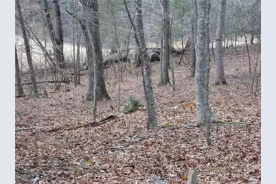 Tbd Happy Woods Drive, Piney Creek, NC 28631 - Photo 19
