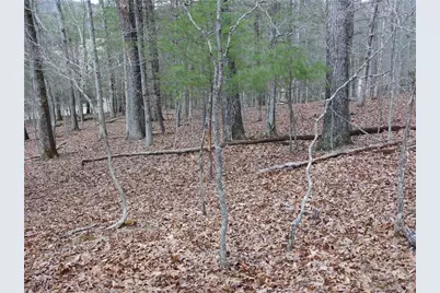 Tbd Happy Woods Drive, Piney Creek, NC 28631 - Photo 21