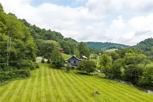 3244 Old US Hwy 421, Vilas, NC 28692 - Photo 41