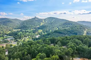 40 Hemlock Hills, Banner Elk, NC 28604 - Photo 25