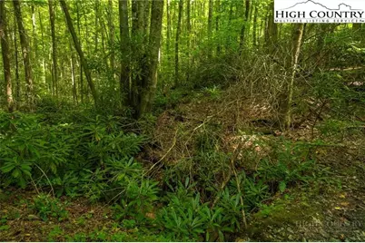 Tbd Hattie Hill Road, Vilas, NC 28692 - Photo 19