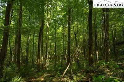 Tbd Hattie Hill Road, Vilas, NC 28692 - Photo 15