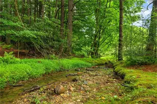410 Don Hayes Rd, Boone, NC 28607 - Photo 5
