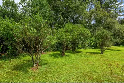 410 Don Hayes Road, Boone, NC 28607 - Photo 47