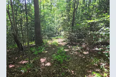 700 Nelson Lane, Millers Creek, NC 28651 - Photo 21