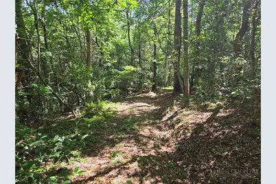 700 Nelson Lane, Millers Creek, NC 28651 - Photo 41