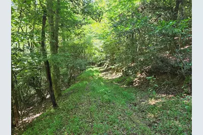 700 Nelson Lane, Millers Creek, NC 28651 - Photo 39
