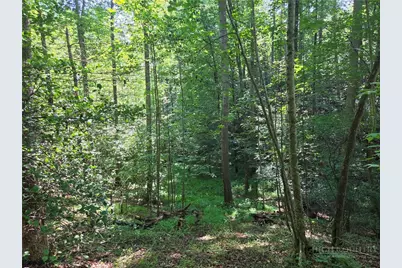 700 Nelson Lane, Millers Creek, NC 28651 - Photo 23