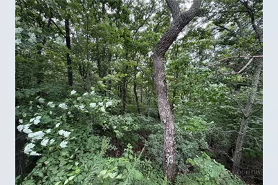Tbd Quail Ridge Court, Fleetwood, NC 28626 - Photo 5
