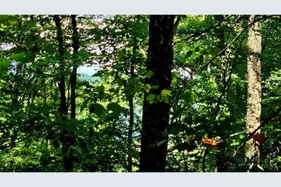 Lot 6 Boone Ridge Lane, Boone, NC 28607 - Photo 13