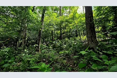 Lot 6 Boone Ridge Lane, Boone, NC 28607 - Photo 5