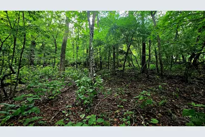 Lot 6 Boone Ridge Lane, Boone, NC 28607 - Photo 3