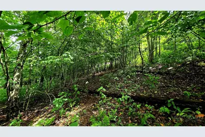 Lot 6 Boone Ridge Lane, Boone, NC 28607 - Photo 11