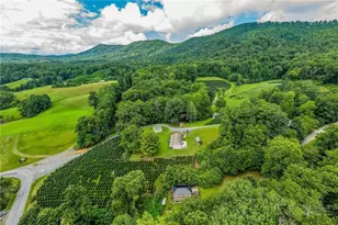 2601 Mountaindale Rd, Vilas, NC 28692 - Photo 47
