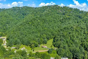 420 Roaring Fork Rd, Creston, NC 28615 - Photo 45