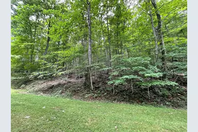 Tbd Iron Wood Road, West Jefferson, NC 28694 - Photo 3