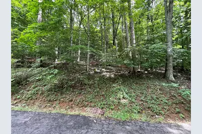 Tbd Iron Wood Road, West Jefferson, NC 28694 - Photo 5