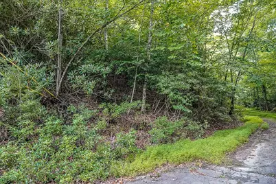 101 Chipmunk Lane, Beech Mountain, NC 28604 - Photo 1
