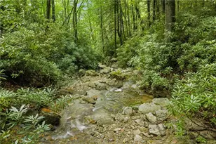 547 Oakley Green, Boone, NC 28607 - Photo 31