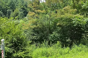 Tbd Lot 36 Georgina Way, Piney Creek, NC 28663 - Photo 1