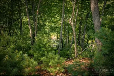 Lot 21 Bear Den Trail, West Jefferson, NC 28694 - Photo 15