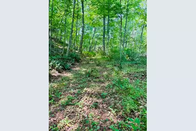 Tbd Grassy Creek Road, Grassy Creek, NC 28631 - Photo 13