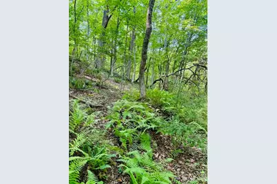 Tbd Grassy Creek Road, Grassy Creek, NC 28631 - Photo 15